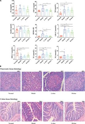 Changes in the Gut Metabolic Profile of Gestational Diabetes Mellitus Rats Following Probiotic Supplementation